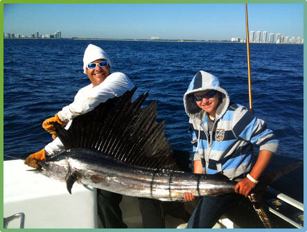 Sailfish
