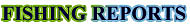 Fishing Reports